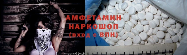 шишки Алзамай
