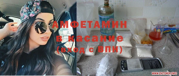 шишки Алзамай