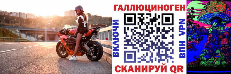 Псилоцибиновые грибы прущие грибы  Хвалынск 